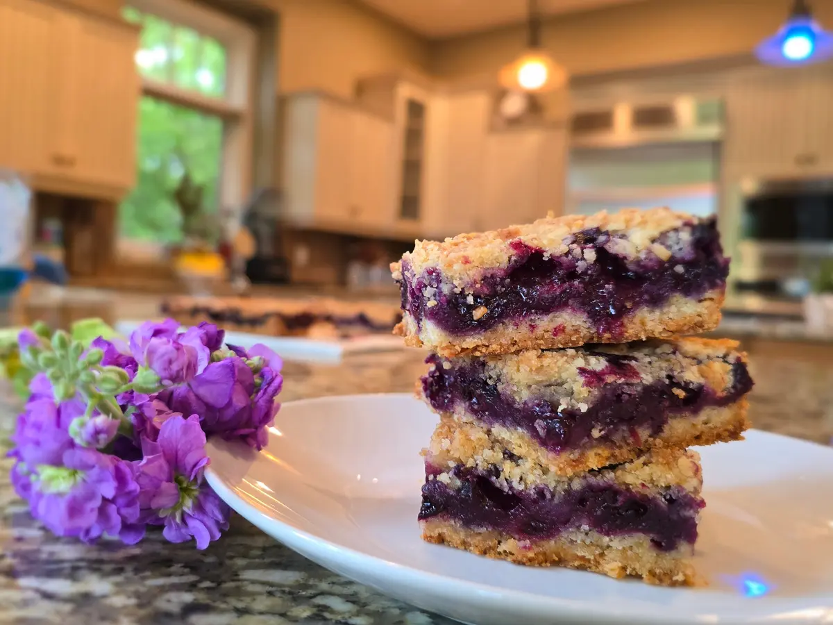 Blueberry Crumble Bars: A Humble Summer Delight