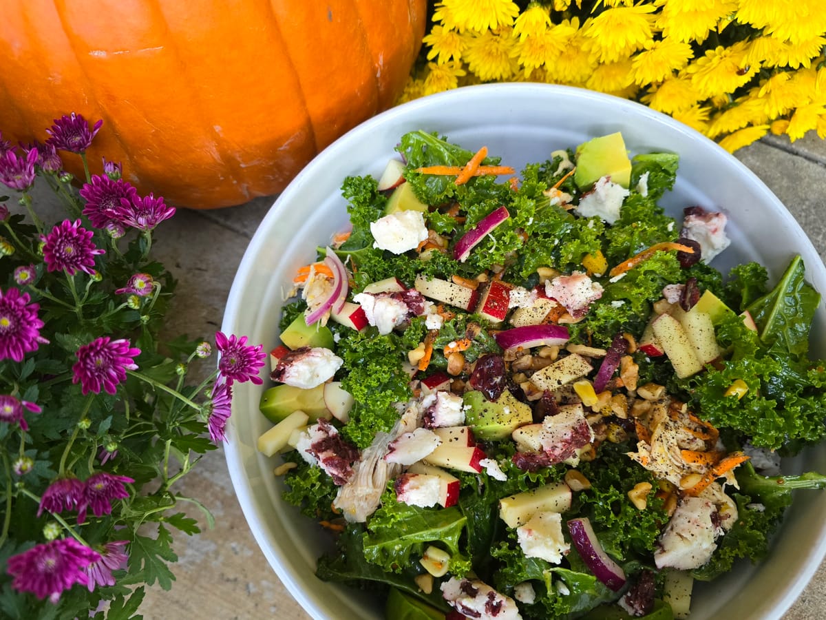 Harvest kale salad with shredded chicken, apples, pecans, and goat cheese in a white bowl