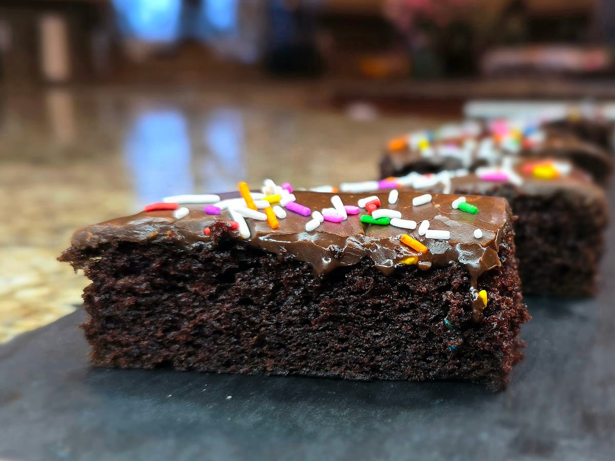 Rich chocolate Texas sheet cake with creamy pourable fudge icing, showing gooey texture and moist crumb structure